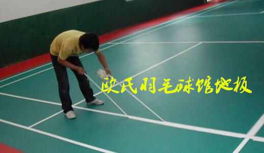 羽毛球館木地板